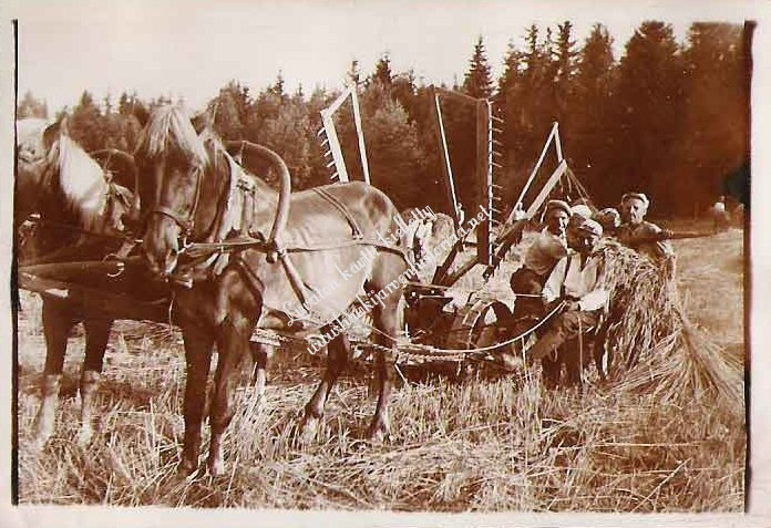 leikkuu2.jpg
