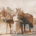Pakkasen hevosia