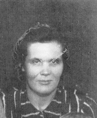 Hertta Viidanoja