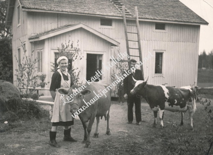 Rauha ja Risto Viidanoja