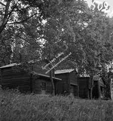 Pakkasen aittoja