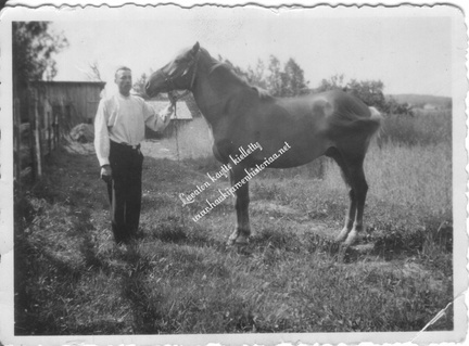 Aarne Laaksonen ja Pirsta-niminen hevonen Mäkelässä